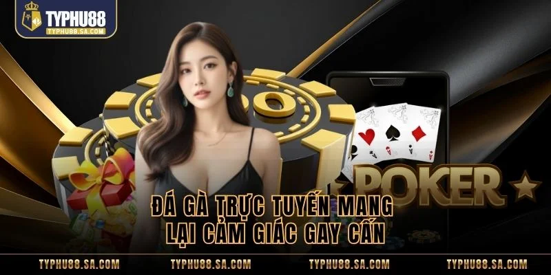 Đá gà trực tuyến mang lại cảm giác gay cấn